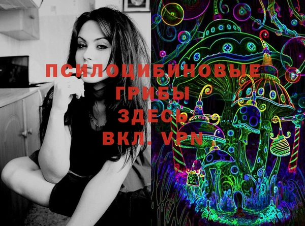 прущие крисы Алзамай