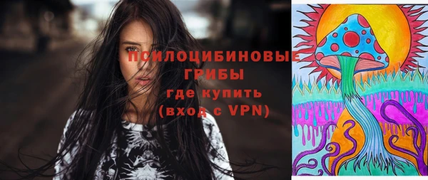 прущие крисы Алзамай