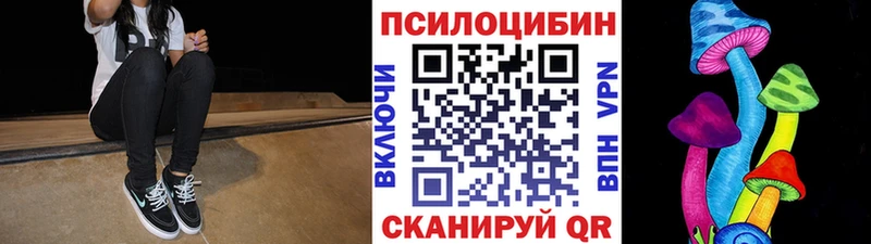 Купить закладки  Тейково  Галлюциногенные грибы Psilocybine cubensis 